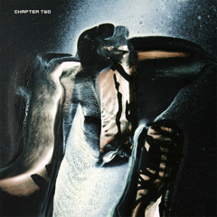 NETZWERK DER EITELKEITEN