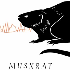 Muskrat Audio Demo
