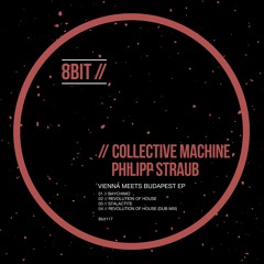 Collective Machine,Philipp Straub - Revolution Of House (Original Dub Mix)