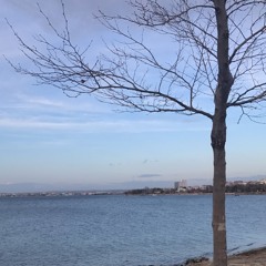 aylar geçer (coverzımbırtısı)