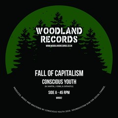 Fall of Capitalism **SAMPLE**