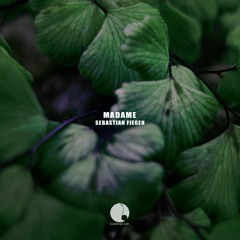Sebastian Fiegen - Madame (CAL033)[teaser]