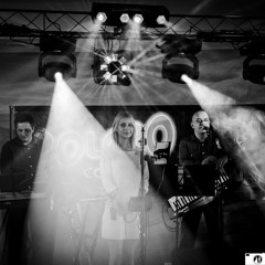 Would I lie to you (David Guetta Cover)
