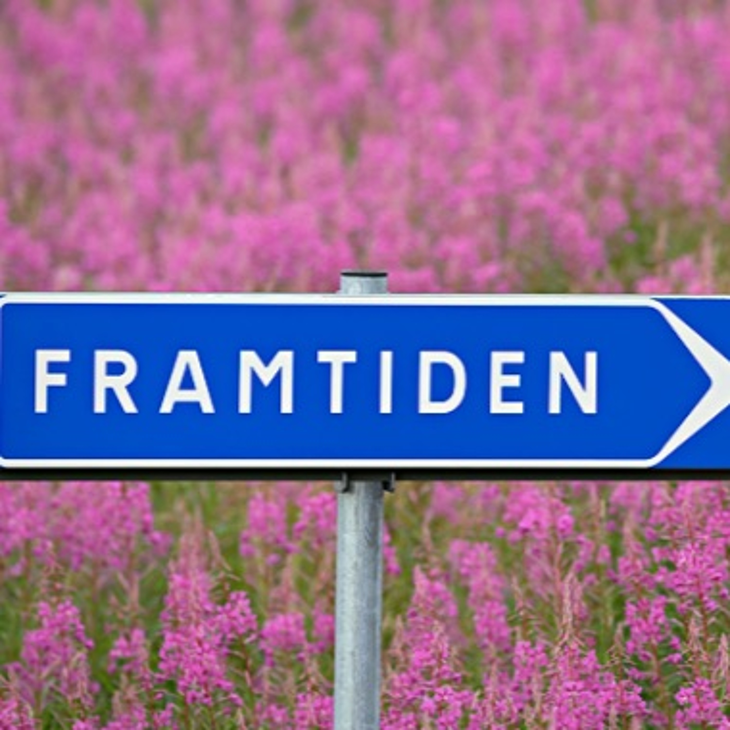 Säljcoachen ledarskap & sälj