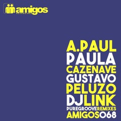 Dj Link - Pure Groove (Paula Cazenave Remix) Preview