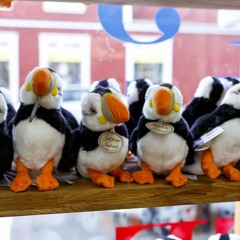 SULTUR - Landið Mitt