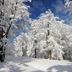 Hansollo&MiiM - Plan