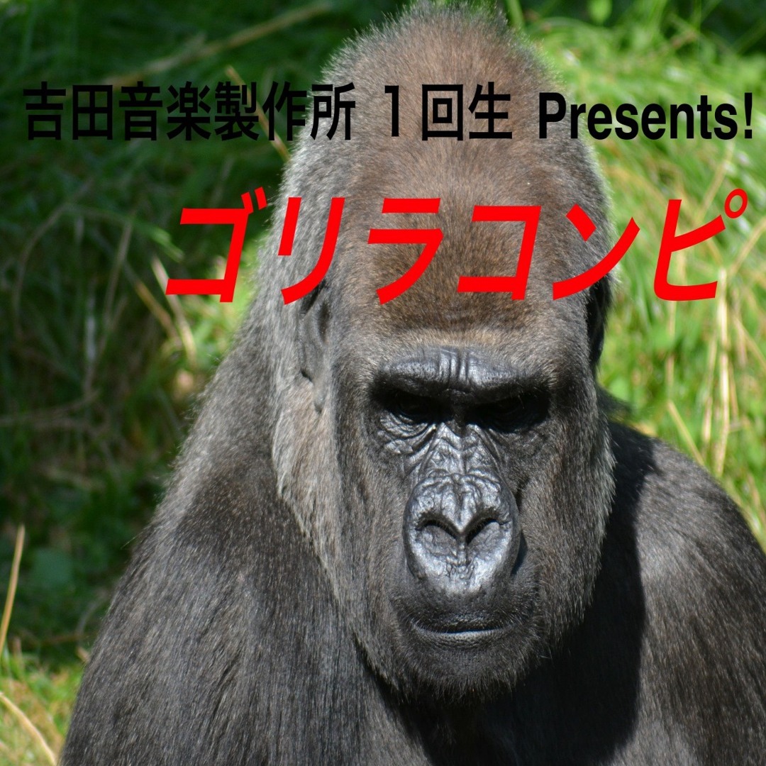 artworks-000206990833-uoagdt-