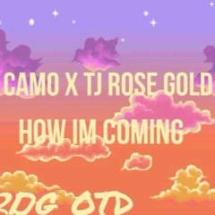 CAMO X TJ ROSE GOLD HOW IM COMING