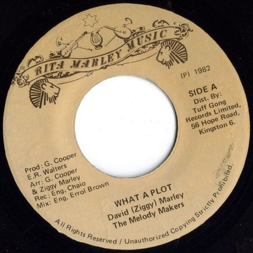 David "Ziggy" Marley "Dem A Plot" (Rita Marley Music)
