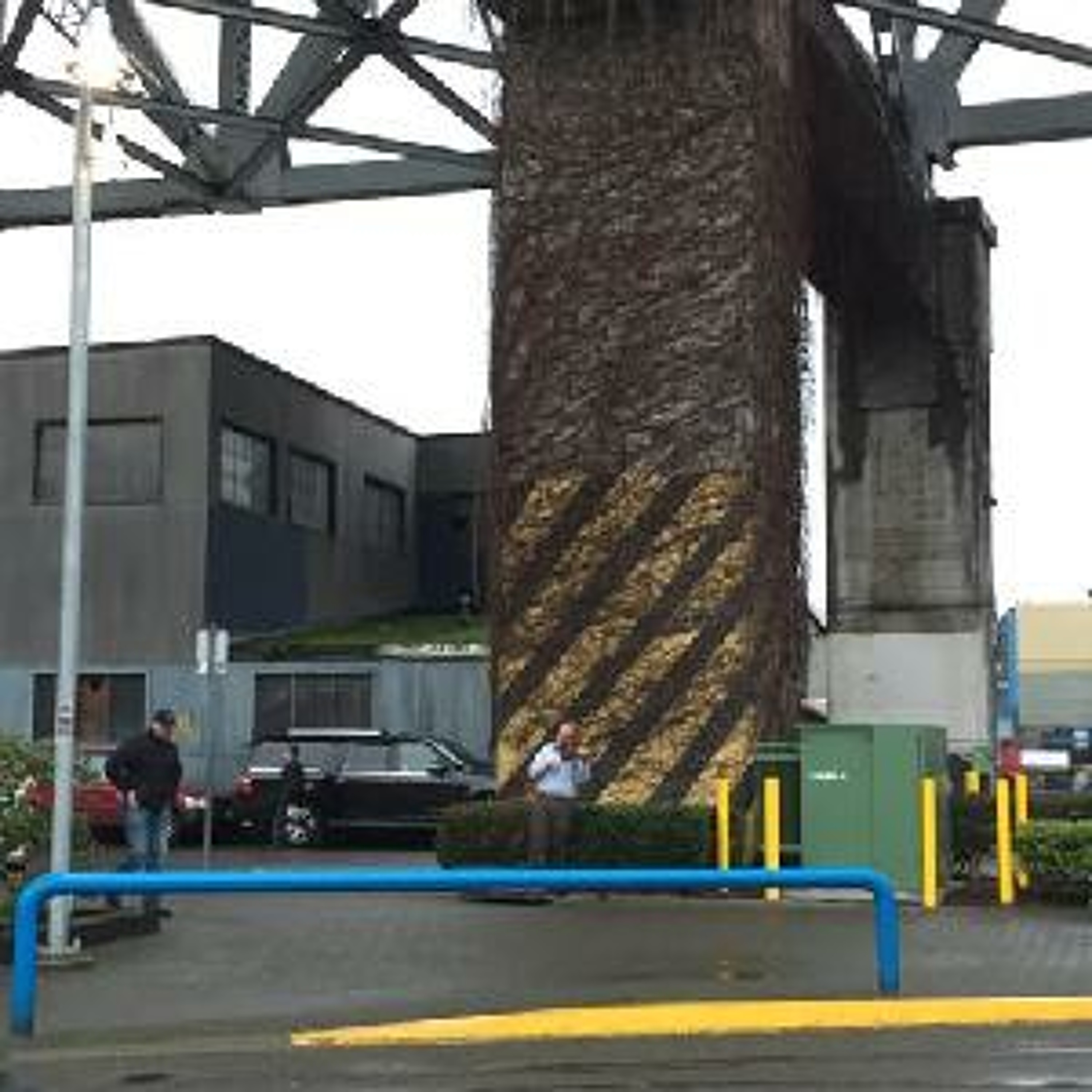 Ep 2 - Cary of Granville Island thumbnail