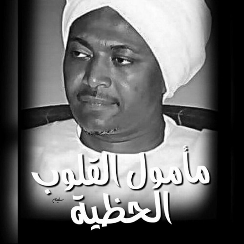 في كل حين لنا في المصطفى أمل ... إنشاد سماعي محمد نصر