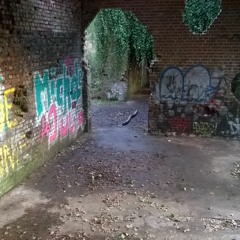 Beethoven-Ode to Joy (Symphonie No.9)(Nick Domie Bootleg remix)(unrelease)(unmaster)