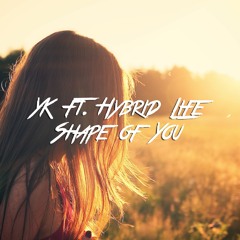 YK ft. Hybrid Life - Shape of You
