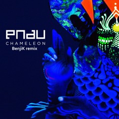 Pnau - Chameleon (BenjiK Remix)