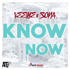 Veeiye X Sona - Know Now (Prod ATG)