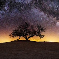 Beat Therapy 8 - A Trip Hop Mix