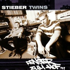 Stieber Twins - Joy Remix