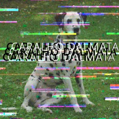 caralho dálmata