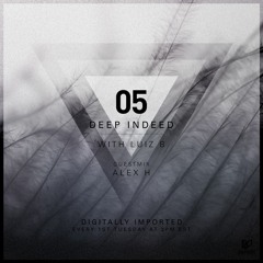 Deep Indeed 05 - Luiz B Mix