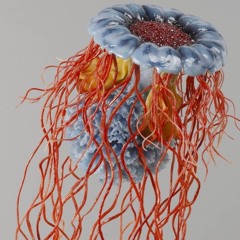 Percussono Patch No 1