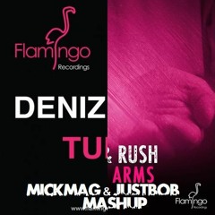 Deniz Koyu Vs. Holl & Rush - In My Tung! Arms (MickMag & JustBob Mashup) [Free Download]