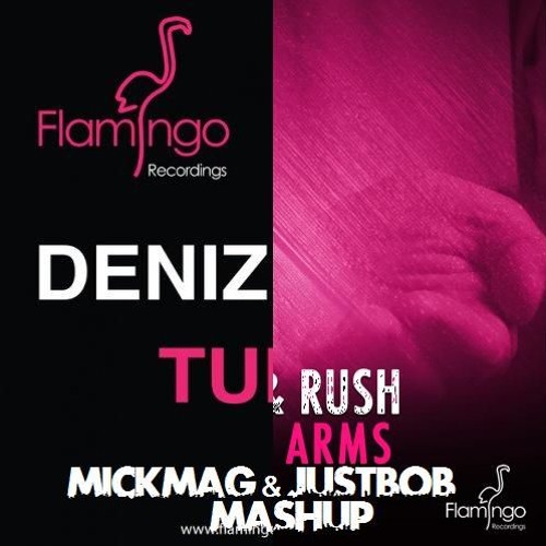 Deniz Koyu Vs. Holl & Rush - In My Tung! Arms (MickMag & JustBob Mashup) [Free Download]