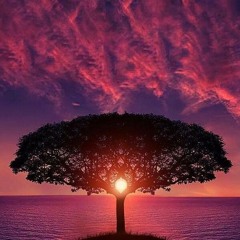 Back 2 The Basics - Volume III- 02-09-2017