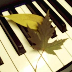 Frédéric Chopin — Polonaise in E flat minor, Op. 26 No. 2