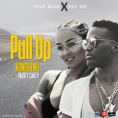 konshens ft Paigey Cakey - Pull Up [RAW] FEB 9 2017