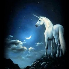 Avant J'avais Du Répondant, Maintenant J'ai Une Licorne