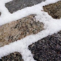 Snow Storm in the City