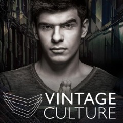 Yam Nor - I Wanna Feel (Vintage Culture  Slow Motion Remix)