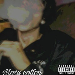 MoxyCotton