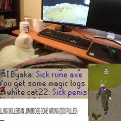 WHITE CAT 22