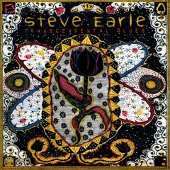 Steve Earle - Galway Girl (Ricky Lambert Cover)