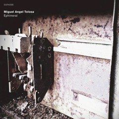 Miguel Angel Tolosa - Sol De Plomo Y Púrpura