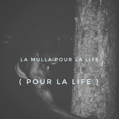 Moulla Pour La Life (UNMASTERED)