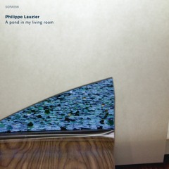 Philippe Lauzier - On the window side