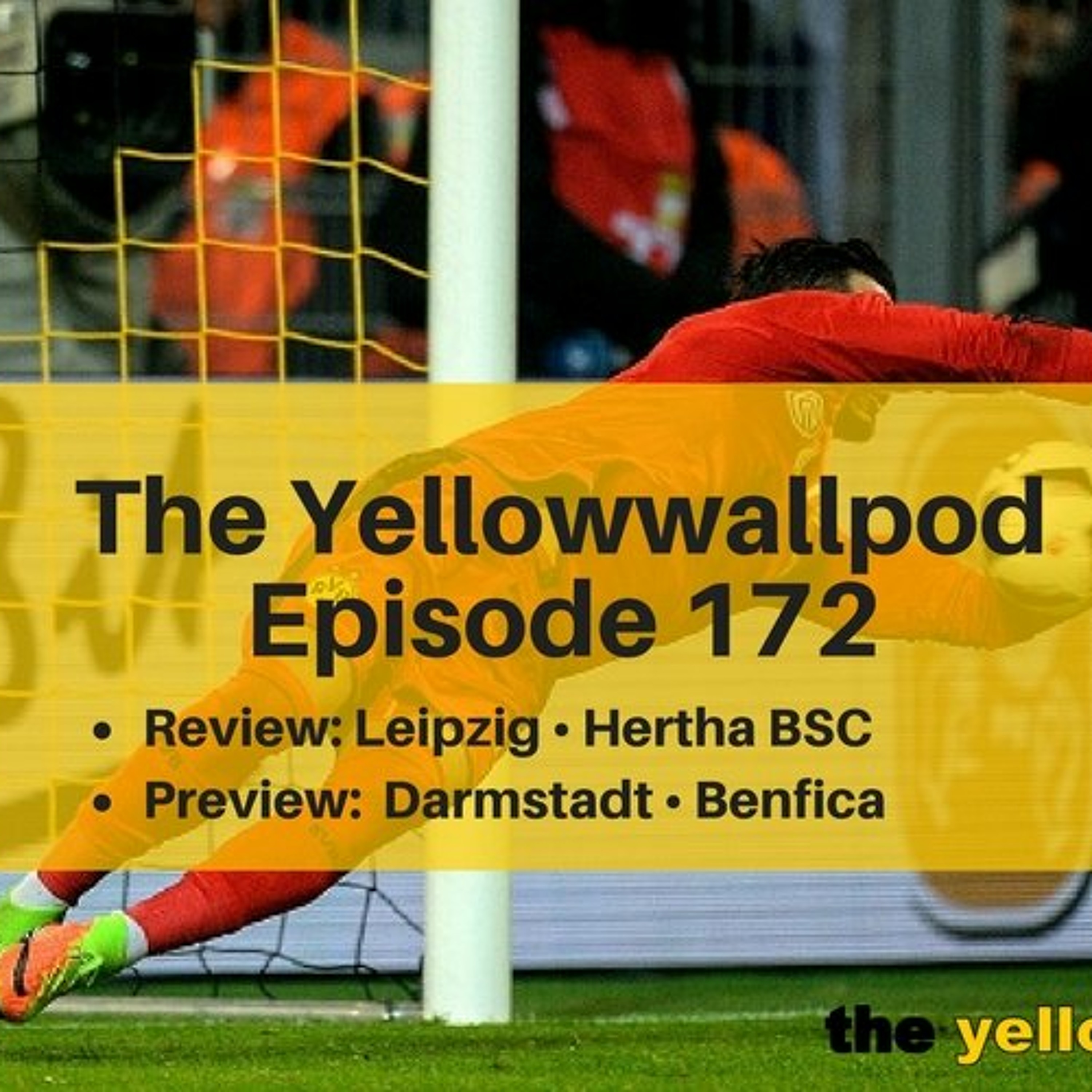 Yellowwallpod