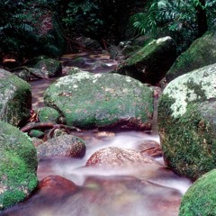 ENV432: Unit 02 Guest Lecture