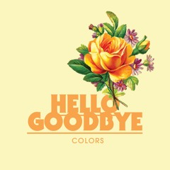 3. Hello Goodbye The Beatles Colors Cover