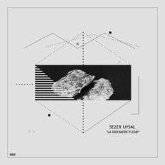 Sezer Uysal - La Dernière Fleur (Original Mix)