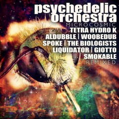 Psychedelic Orchestra - Bitter sweet (Tetra Hydro K RMX)