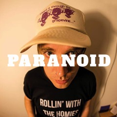 Gingersnaps - Paranoid