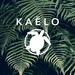 Mr. Probz - Nothing Really Matters (Kaëlo Remix)