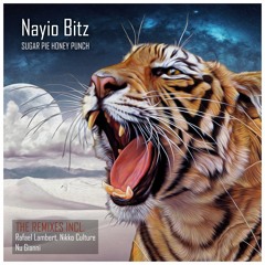 Nayio Bitz - Sugar Pie Honey Punch (Original Mix) Preview
