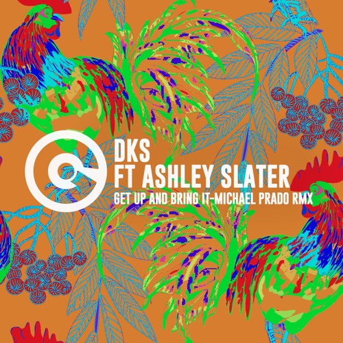 DKS feat. Ashley Slater - Get Up And Bring It  (Michael Prado Remix)