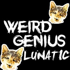 Weird Genius - LUNATIC ft. Letty (AINX Remix)