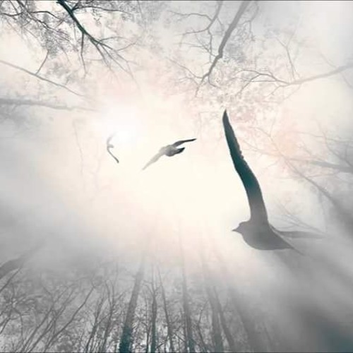 A Morning Offering, By John O'Donohue, music Solfeggio 528 Hz, Narrator M. J. Hummingway